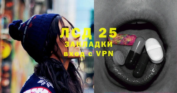 шишки Новосибирск