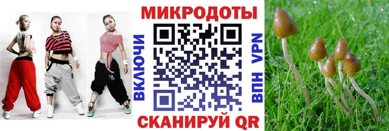 Галлюциногенные грибы MAGIC MUSHROOMS Реж